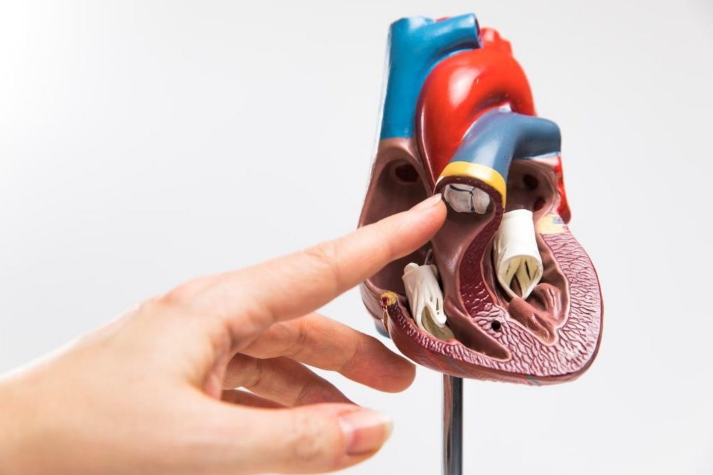 Aortic Valve Surgery