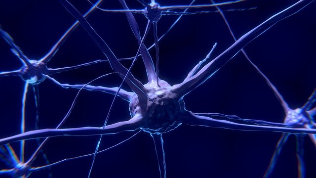 Neuroendocrine tumor: peptide radioreceptor therapy (PRRT) with Lutetium-177 DOTATOC